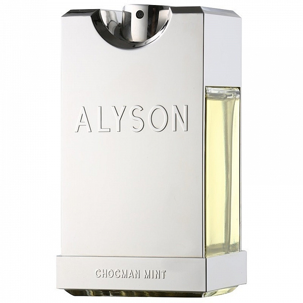 Парфумована вода Alyson Oldoini Chocman Mint для чоловіків — edp 100 ml tester, фото 1