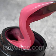 Silver GEL 02 25гр., фото 4