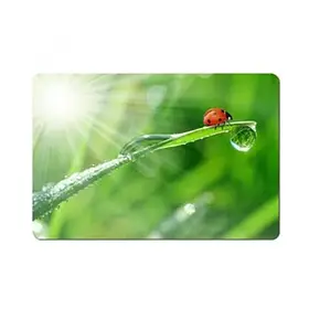 Килимок для миші ESPERANZA Mousepad mixed EA133 (EA133) (M)