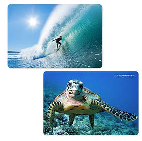 Килимок для миші ESPERANZA Mousepad mixed EA133 (EA133) (M), фото 2