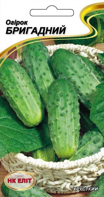 Насіння огірка Бригадний, НК-ЕЛІТ, 15 шт