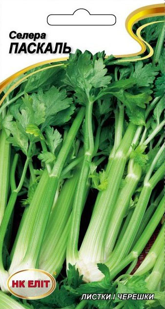 Насіння селери черешкової Паскаль НК-ЕЛІТ 0.5 г