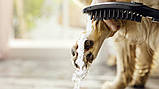 Ручний душ для собак чорний матовий hansgrohe DogShower 150 3jet Matt Black (26640670), фото 8