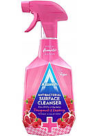 Антибактеріальний засіб для очищення поверхонь Astonish Antibacterial Surface Cleaner Гранат та Малина 750 мл