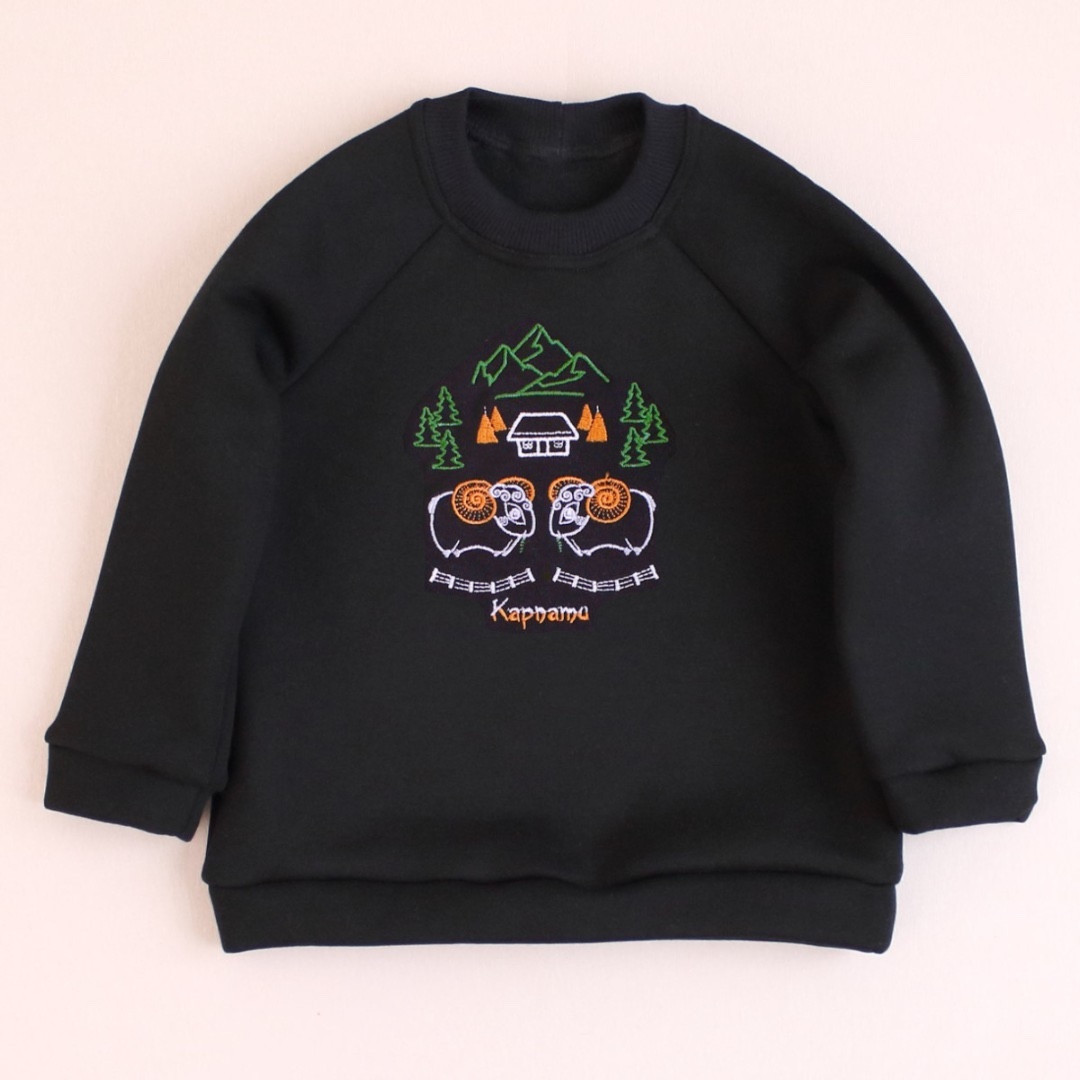 Дитячий світшот з вишивкою Карпати унісекс, фото 1