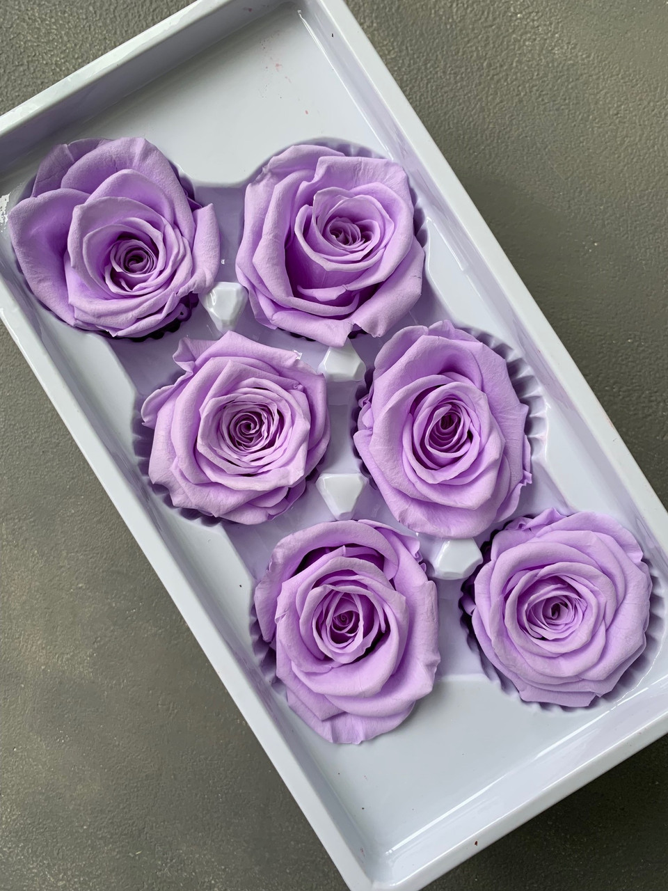 Роза світло фіолетова 5 см