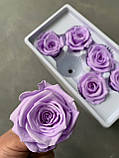 Роза світло фіолетова 5 см, фото 2