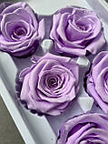 Роза світло фіолетова 5 см, фото 3