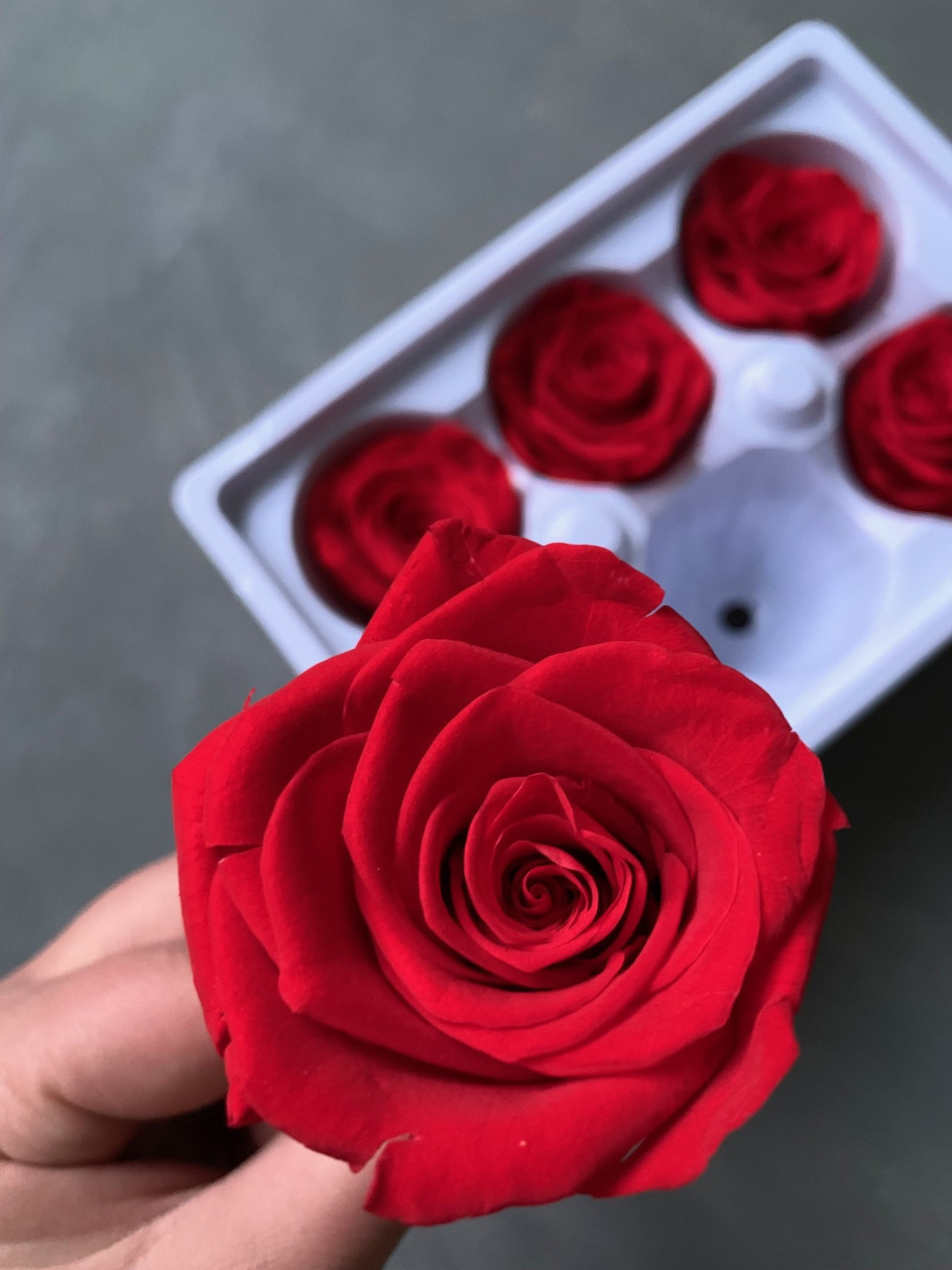 Роза червона 5 см