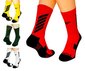Шкарпетки чоловічі літні, високі, сітка, спорт, подвійний слід Fanatics (розмір 42-45)