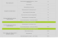 Smart Grow Alhum Plus - регулятор росту рослин (1 л), фото 4