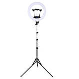 Кільцева світлодіодна лампа HQ-19NS 47см зі штативом 2м пультом сумкою та 3 тримачами LED лампа для фото, фото 4