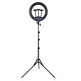 Кільцева світлодіодна лампа HQ-19NS 47см зі штативом 2м пультом сумкою та 3 тримачами LED лампа для фото, фото 5