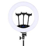 Кільцева світлодіодна лампа HQ-19NS 47см зі штативом 2м пультом сумкою та 3 тримачами LED лампа для фото, фото 2