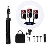 Кільцева світлодіодна лампа HQ-19NS 47см зі штативом 2м пультом сумкою та 3 тримачами LED лампа для фото, фото 8