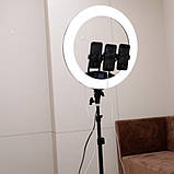 Кільцева світлодіодна лампа HQ-19NS 47см зі штативом 2м пультом сумкою та 3 тримачами LED лампа для фото, фото 6