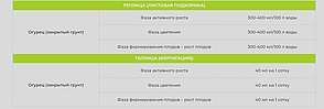 Smart Grow Огірок - регулятор росту рослин (1 л), фото 5