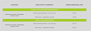 Smart Grow Ягоди - регулятор росту рослин (1 л), фото 4