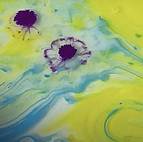 Набір для малювання на воді Ебру FUN Game, 6 пігментів, концентрат 50 мл, акварельний папір, інструменти, у кор 22*6*29см (62742), фото 3