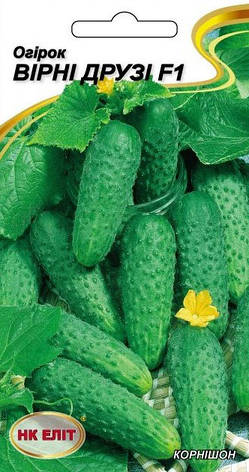 Насіння огірка Вірні друзі F1, НК-ЕЛІТ, 15 шт, фото 1