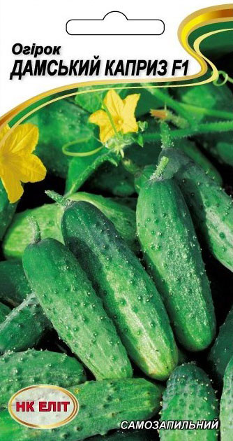 Насіння огірка самозапильного Дамський каприз F1, НК-ЕЛІТ, 10 шт