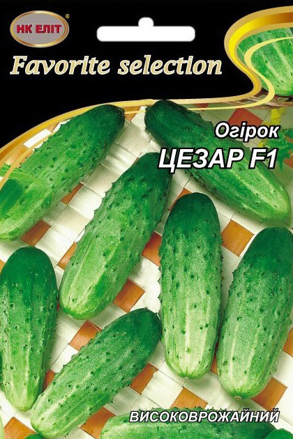 Насіння огірка Цезар F1, НК-ЕЛІТ, 3 г