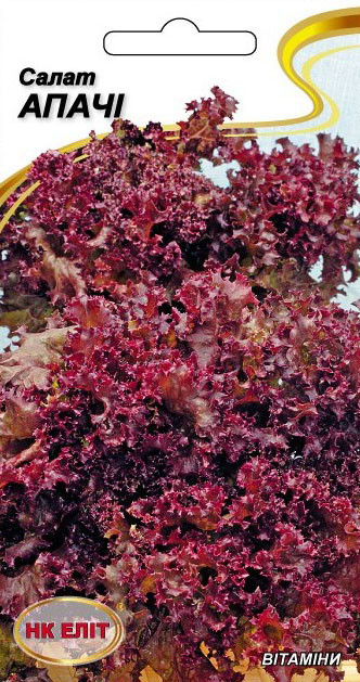Насіння салату Апачі НК-ЕЛІТ, 1 г