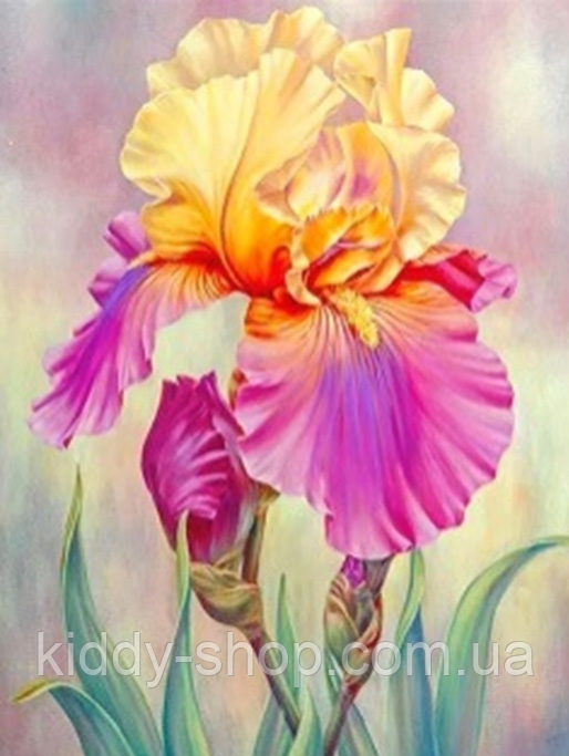 Алмазна вишивка. Картина на підрамнику "Ірис", розмір 20х30 см, фото 1