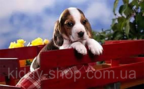 Алмазна вишивка. Картина на підрамнику В очікуванні пригод, розмір 20х30 см, фото 1