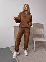 Женский костюм с мехом теплый зимний Тедди на меху кенгуру бежевый, пудра, графит, черный S-M, M-L, L-XL S/M, Шоколад