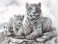 Алмазна картина HX011 "Білі тигри", розміром 30х40 см (HX011)