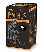 Вітаміни для собак та котів Bacchus Hepatic Digest для підтримки печінки та травної системи ЦІНА ЗА 1 ТАБЛ.