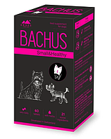 Витамины для собак малых пород Bachus Small&Healthy ЦЕНА ЗА 1 ТАБЛ.