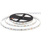 Світлодіодна стрічка жовта 12 V smd5050 60 LED/м IP65, фото 3