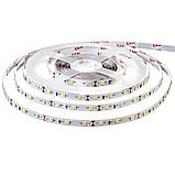 Світлодіодна стрічка тепла біла 12 V AVT smd2835 60 LED/м IP20, фото 3