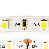 Світлодіодна стрічка тепла біла 12 V AVT smd2835 60 LED/м IP20, фото 4