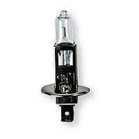 Лампа головного світла H1 24 V 100 W Tempest (H1 24V100W) 4905874056