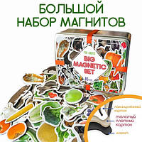 Набір магнітів Дитячий світ 85 магнітів у подарунковий метал. коробці, корр. 18.5*14*9 см, Україна, Magdum