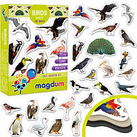 Набір магнітів Birds photo Птахи в кор. 12*4*17 см Україна, Magdum ML4031-30EN