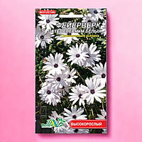 Остеоспермум белый Фейерверк, многолетнее растение высотой 30-45 см, семена цветы 0.1 г
