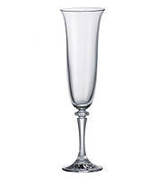 Набор бокалов для шампанского Bohemia Branta 1SC33/00000/175 175 мл 6 шт h