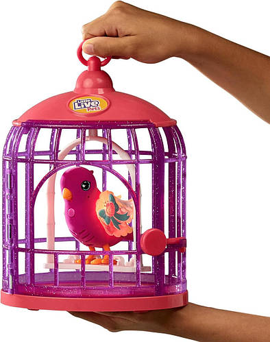 Little live best sale pets pink bird