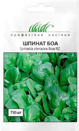 Насіння Шпинат Боа 750шт ТМ Професійне насіння, фото 1