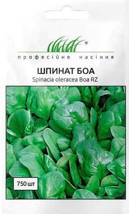 Насіння Шпинат Боа 750шт ТМ Професійне насіння, фото 2