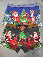 Новорічні трусики для чоловіків з малюнком л-хл