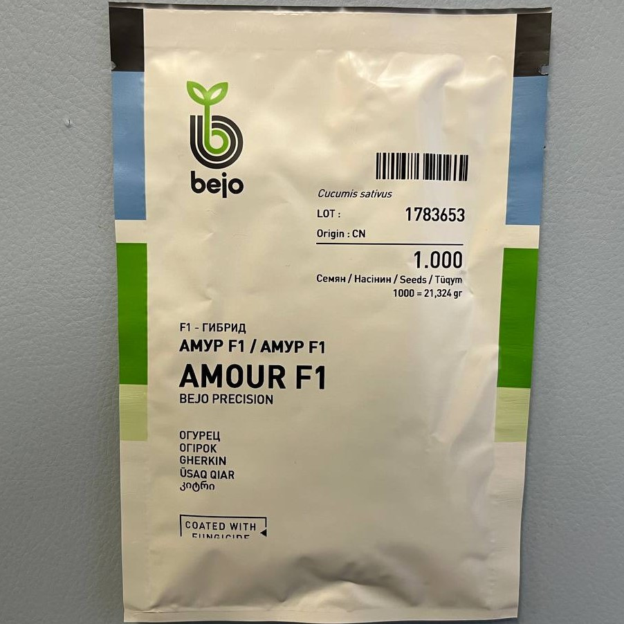 Амур F1 1000 шт Bejo Огірок Самозапильний Насіння (Огурец Самоопыляемый Семена), фото 1