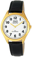 Мужские часы Q&Q C192J104Y