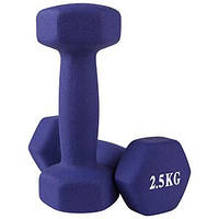 Гантели для фитнеса неопрен World Sport 2 шт по 2,5 кг фиолетовые