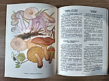 Книга Федоров Ф.В. Гриби б/у, фото 6