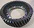Шестірня ведена циліндрична КрАЗ 48 зуб. 65055-2402120-10, фото 2